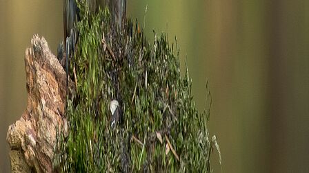 Jongen met een roze hoodie op een betonnen muur.